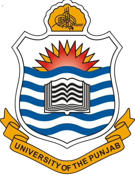 Punjab University